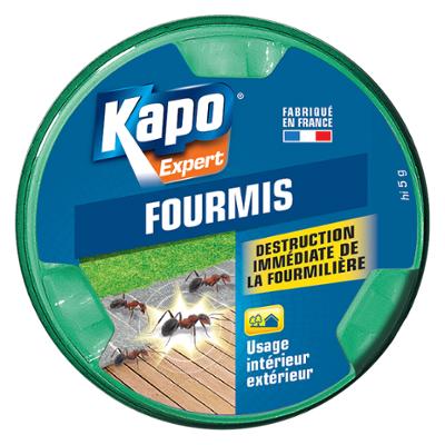 Boîte Appât Fourmis 10g