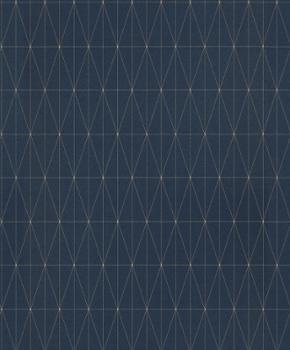 8207 - Vinyl Expansé sur Intissé Suède Lign Bleu Marine