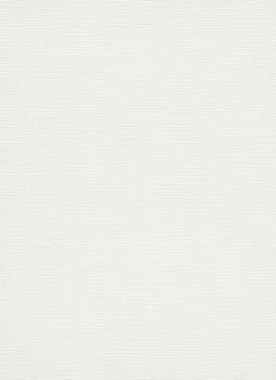 8007 - Vinyle Expansé sur Intissé Uni Gris Clair