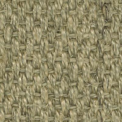 Sisal Raipur 4109 Écru 4m