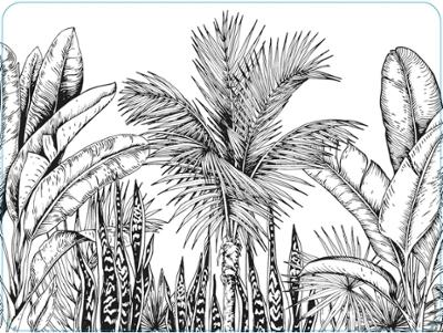 Set de Table 40 x 30 cm Jungle 01