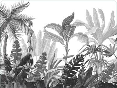 Set de Table 40 x 30 cm Jungle 02