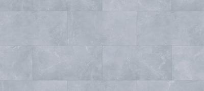 LVT Dalle à Coller D2030 Léo