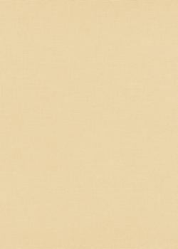 10262-02 Vinyle Grainé sur Intissé Uni Casual Beige