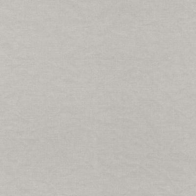 464023 Papier Peint Vinyle Grainé sur Intissé Uni Campagne Gris