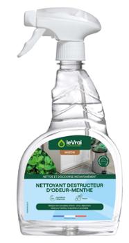 Nettoyant Destructeur d'Odeur Menthe Pistolet 750 ml