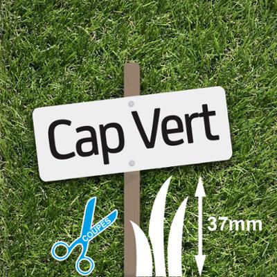 Gazon Synthétique 37 mm Cap Vert à La Coupe