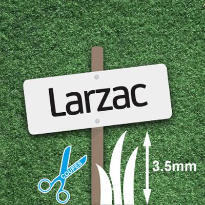 Gazon Synthétique 3.5 mm Larzac à La Coupe