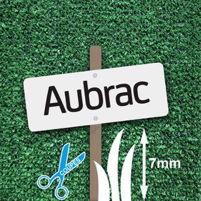 Gazon Synthétique 7 mm Aubrac à La Coupe