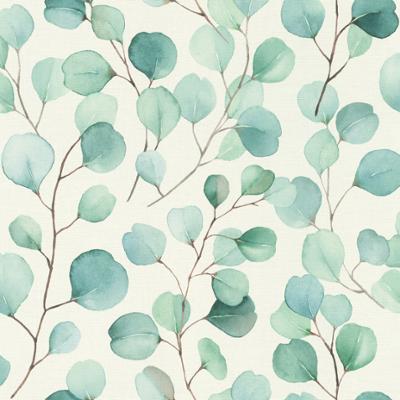 Papier Peint Vinyle Grainé sur Intissé Motif Eucalyptus Vert