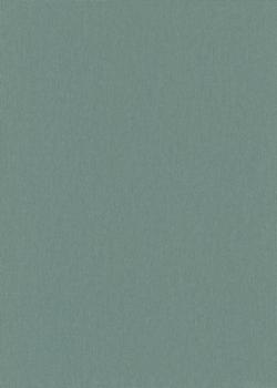 10393-36 - Papier Peint Vinyle Grainé sur Intissé Uni Vert Céladon
