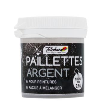 Paillettes Pour Peinture 30 g