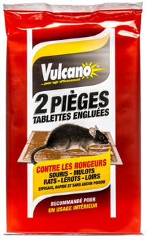 Pièges Englués Rats et Souris Lot de 2