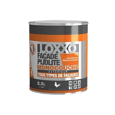 Peinture Pliolite Monocouche Tous Types de Façades Extérieures 2.5L