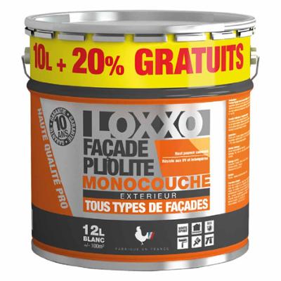 Peinture Pliolite Monocouche Tous Types de Façades Extérieures 12L