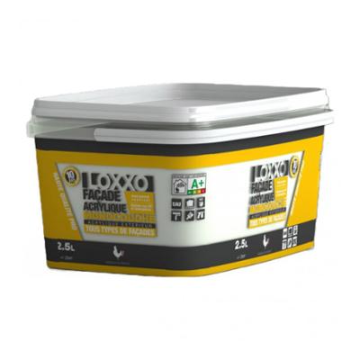 Peinture Acrylique Monocouche Tous Types de Façades Extérieures 2.5L