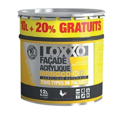 Peinture Acrylique Monocouche Tous Types de Façades Extérieures 12L