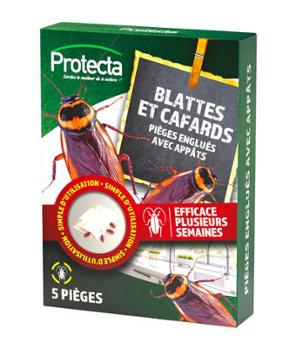 Blattes et Cafards 5 Pièges Écologiques Englués Avec Appâts 
