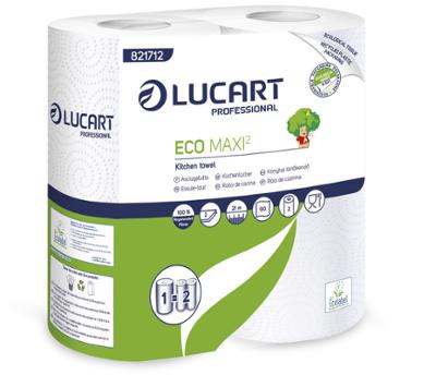  Essuie-Tout Eco Maxi2 Blanc 2 Rouleaux