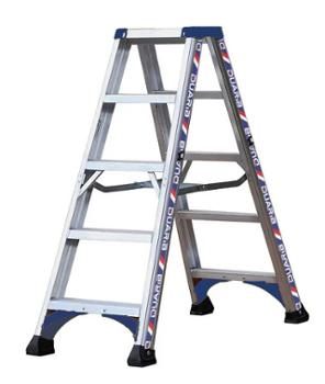 Marchepied Double Accès Alpha 2x5 Marches