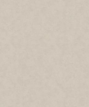 32428 - Papier Peint Intissé Effet Enduit Nuagé Beige Sable 32428 - Papier Peint Intissé Effet Enduit Nuagé Beige Sable