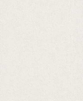 489804 - Papier Peint Vinyle Grainé Sur Intissé Béton Mat Blanc 489804 - Papier Peint Vinyle Grainé Sur Intissé Béton Mat Blanc