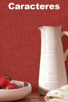 Collection Caracteres