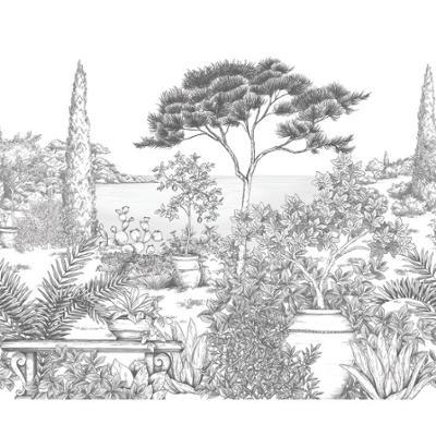 20001 - Papier Peint Intissé A L'Ombre Des Pins Noir Fusain  - S