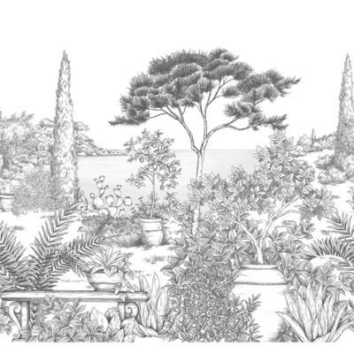 20001 - Papier Peint Intissé A L'Ombre Des Pins Noir Fusain  - M