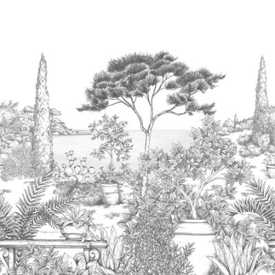 20001 - Papier Peint Intissé A L'Ombre Des Pins Noir Fusain  - L