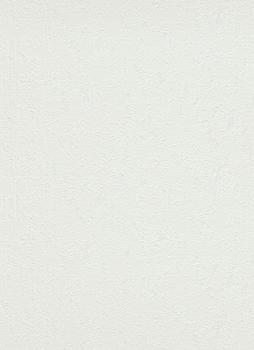 9187-1 - Papier Peint Vinyle Expansé sur Papier Grain de Plâtre Blanc