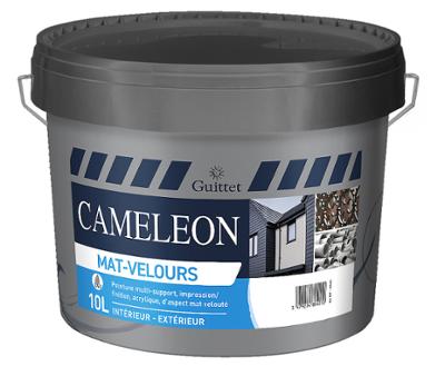 Fut de peinture Cameleon Mat-velours de Guittet