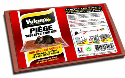 2 pièges à glue Vulcano petit modèle pour souris