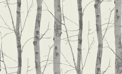 5433-47 Vinyle Expansé sur Intissé Grandes Branches 5433-47 Vinyle Expansé sur Intissé Grandes Branches