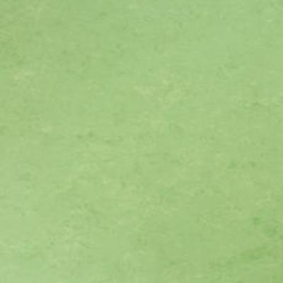 Linosom Veneto xf² 2.5mm 2m Chlorophylle 14872754 Linosom Veneto xf² 2.5mm 2m Chlorophylle 14872754