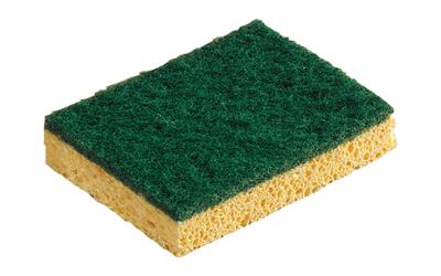 Eponge Végétale Abrasive Vert 120 x 90 x 26 mm Eponge Végétale Abrasive Vert 120 x 90 x 26 mm