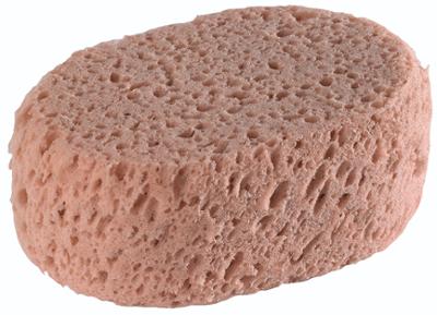 Éponge Synthétique Ovale Hydrograttante Éponge Synthétique Ovale Hydrograttante