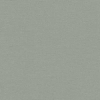 3529 - Papier Peint Vinyle Grainé Sur Intissé Uni Around Épicea 3529 - Papier Peint Vinyle Grainé Sur Intissé Uni Around Épicea